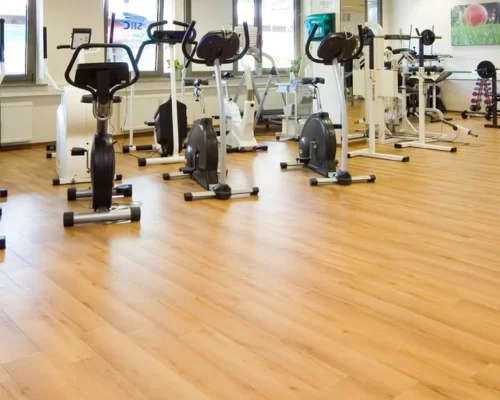 LVT Gym Flooring