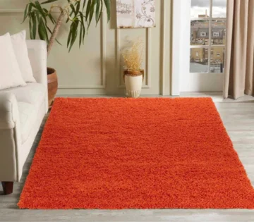 Orange Rugs