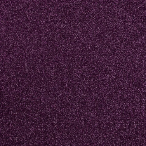 Purple Carpets in Dubai
