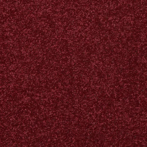 Red Carpets in Dubai
